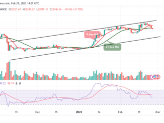 Bitcoin Price Prediction for Today, February 25: BTC/USD Could Obtain Strong Support Below $23k