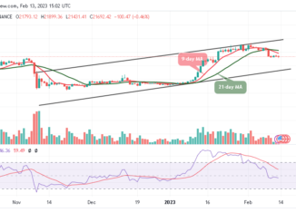 Bitcoin Price Prediction for Today, February 13: BTC/USD Falls 0.46% to 21,431 Support