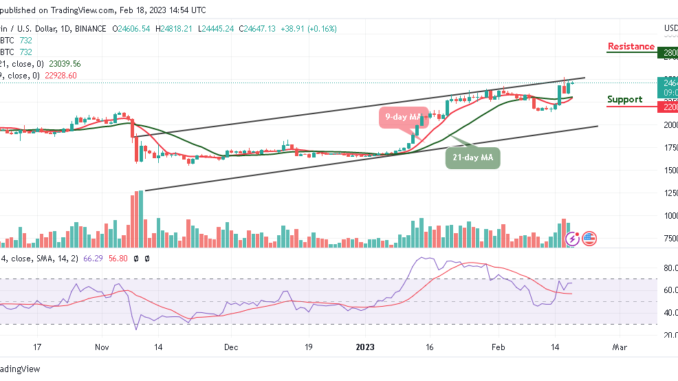 Bitcoin Price Prediction for Today, February 18: BTC/USD Looks for a Spike Above $24,600