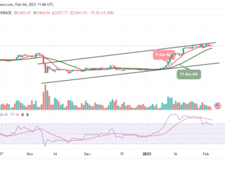 Bitcoin Price Prediction for Today, February 4: BTC/USD Resumes Consolidation, Will it Plunge Below $23K?