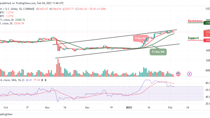 Bitcoin Price Prediction for Today, February 4: BTC/USD Resumes Consolidation, Will it Plunge Below $23K?