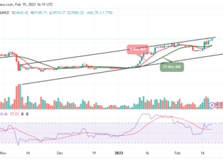 Bitcoin Price Prediction for Today, February 19: BTC/USD Skyrockets to $25,000; Price Could Go Higher