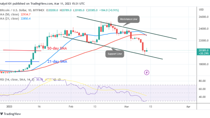 Bitcoin Price Prediction for Today, March 11: BTC Price Pauses Above the Psychological $20K Level