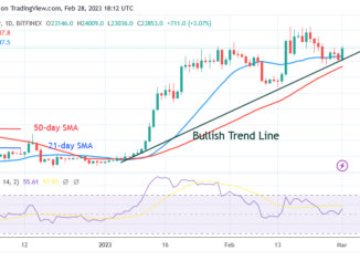 Bitcoin Price Prediction for Today, February 28: BTC Price Retests and Holds below $24K