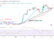 Bitcoin Price Prediction for Today, February 28: BTC Price Retests and Holds below $24K