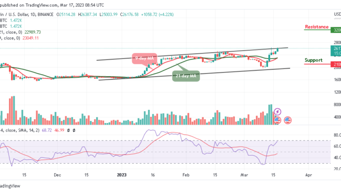 Bitcoin Price Prediction for Today, March 17: BTC/USD Spikes Above $26,000 Level