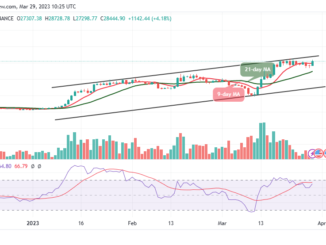 Bitcoin Price Prediction for Today, March 29: BTC/USD Stays Above $28,000 Resistance