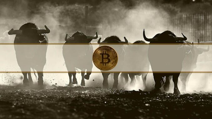 Fundamental Reasons to Be Bullish Despite the 66% Drop From Bitcoin's ATH: Researcher