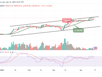 Bitcoin Price Prediction for Today, April 16: BTC/USD Keeps Moving Around $30,500 Level