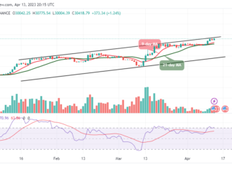 Bitcoin Price Prediction for Today, April 13: BTC/USD Moves to Break Above $31,000 Level