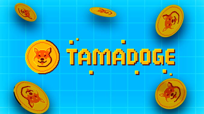 Tamadoge Skyrockets 80% Ahead of Exchanges Listing and App Release