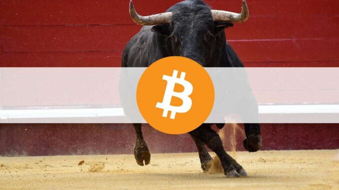 Bitcoin Hodl Patterns Indicate Cycle Shift to Bull Market