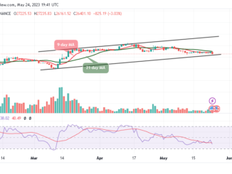 Bitcoin Price Prediction for Today, May 24: BTC/USD May Revisit the $26,000 Support