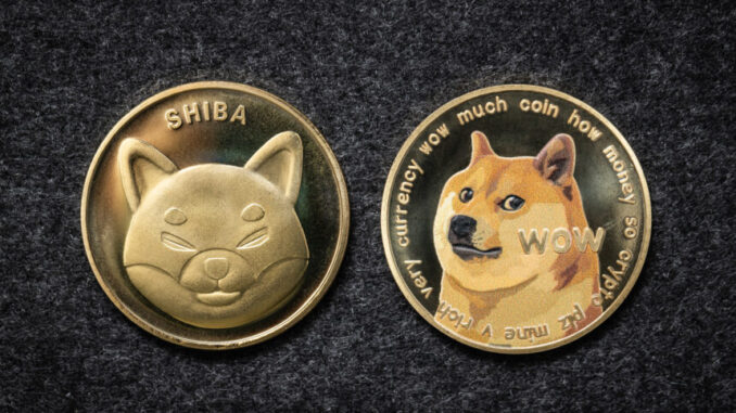 Shiba Inu & Dogecoin Price Chart