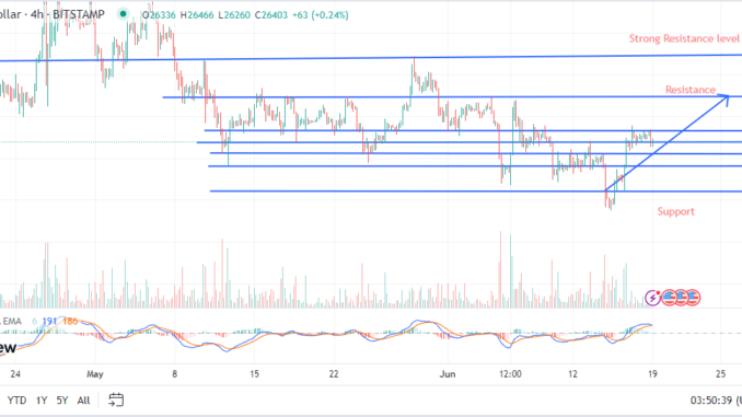 Bitcoin's $25,000 Support Holds Firm – Has the Bottom Arrived? Expert Price Predictions