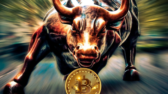 bitcoin bulls