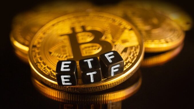 Valkyrie Updates Bitcoin ETF Filing, Lists Coinbase as ‘Surveillance-Sharing’ Partner