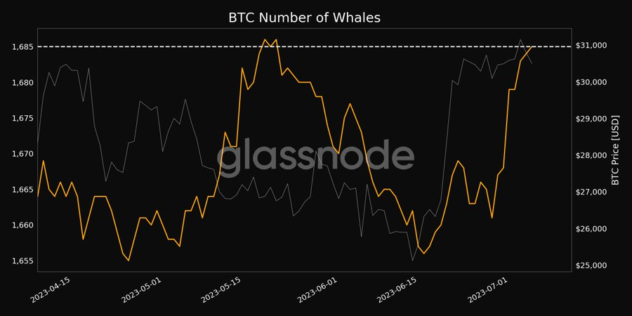 BTC Whales