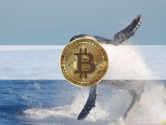 Bitcoin Whales, Sharks 'Handsomely Rewarded' After Grayscale's Victory Against SEC: Data