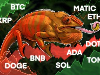 BTC, ETH, BNB, XRP, SOL, ADA, DOGE, TON, DOT, MATIC