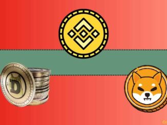 Important Binance Update Concerning Shiba Inu (SHIB) and Dogecoin (DOGE)