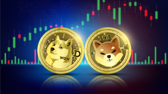 Shiba Inu vs Dogecoin