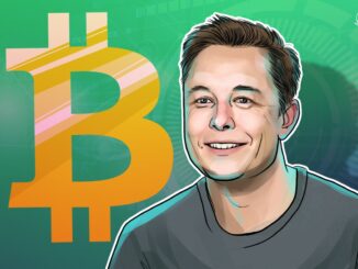 Elon Musk slams NFTs but ends up arguing the case for Bitcoin Ordinals