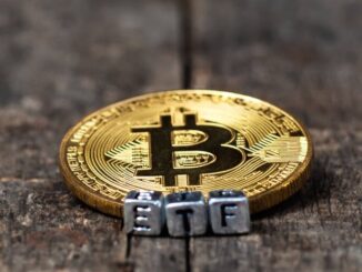 Bitcoin ETF Issuers May Dwindle by End of Year, Says Valkyrie CIO