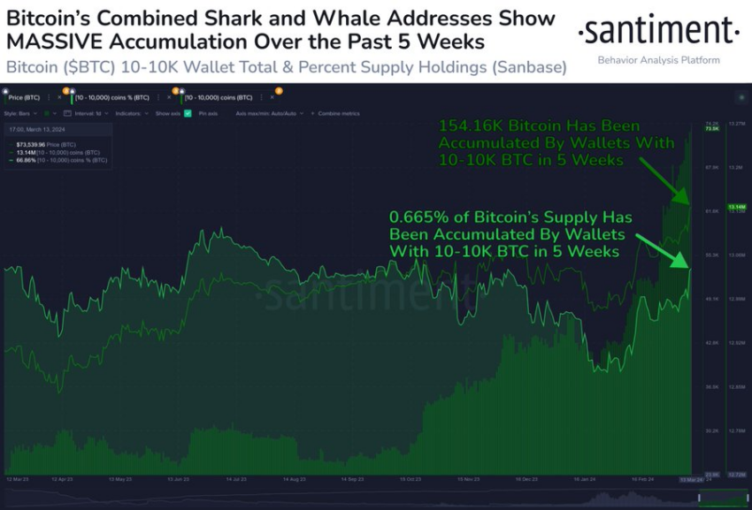 BTC Whales