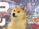 NFT-Driven Battle Royale 'Open Season' Dedicates to Doge