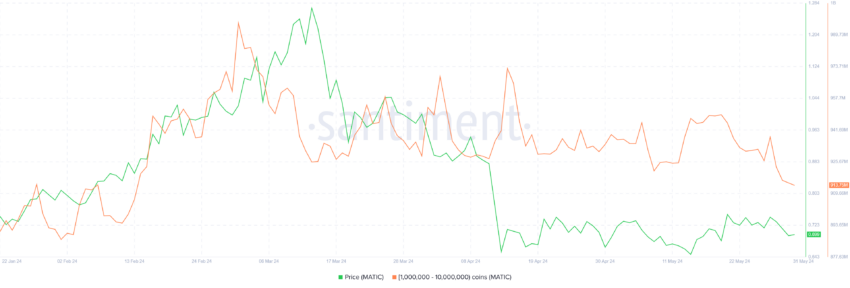 MATIC Whale Holdings. 