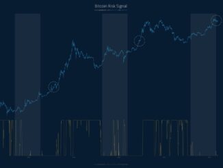 Bitcoin risk signal | Source: @woonomic on X