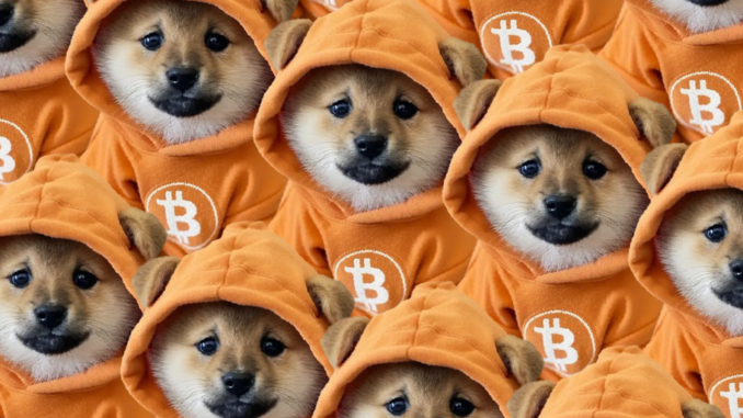 Bitcoin Meme Coins Surge as DOG's 85% Jump Calms Fears That 'Runes Are Dead'