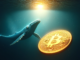 Bitcoin whale News