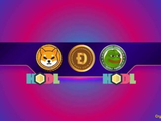 Popular Gaming Platform Holds Numerous Meme Coins, Including Shiba Inu (SHIB) and Dogecoin (DOGE)