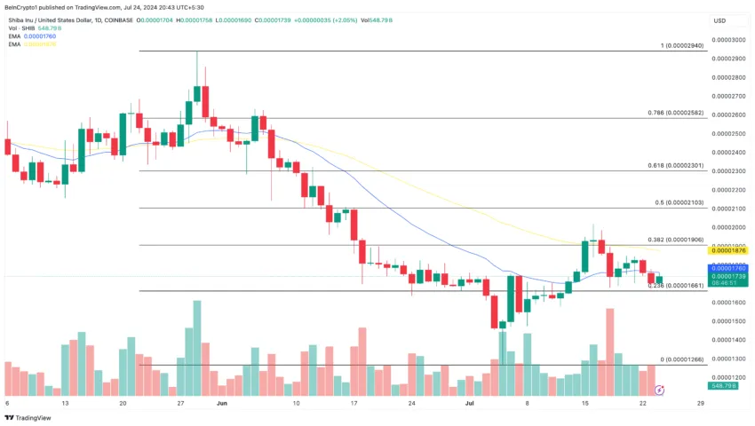 Shiba Inu Daily Analysis. 