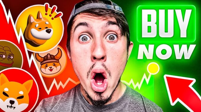 BEST 5 MEME COINS TO Buy NOW During The CRYPTO CRASH (100X Meme Coins??!)