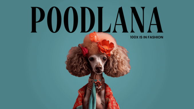 Poodlana: The new trendsetter meme coin set to launch on Solana