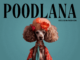 Poodlana: The new trendsetter meme coin set to launch on Solana