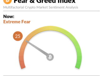 Bitcoin Extreme Fear