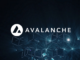 Avalanche (AVAX) 25% Surge Fueled By New Initiatives To Support Developers