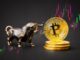 Investors eye Bitcoin Dogs as BTC retests $64k