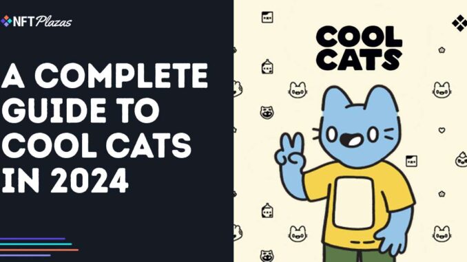 A Complete Guide to Cool Cats in 2024