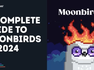 A Complete Guide to Moonbirds in 2024