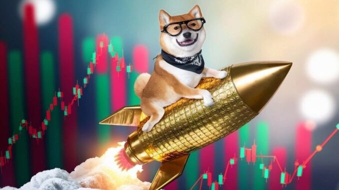 Bitcoin Native Meme Coin DOG Jumps to 5 Month High Amid Dogecoin Hype, Exchange Listing Hope